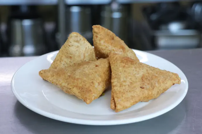 Vegetable Samosa